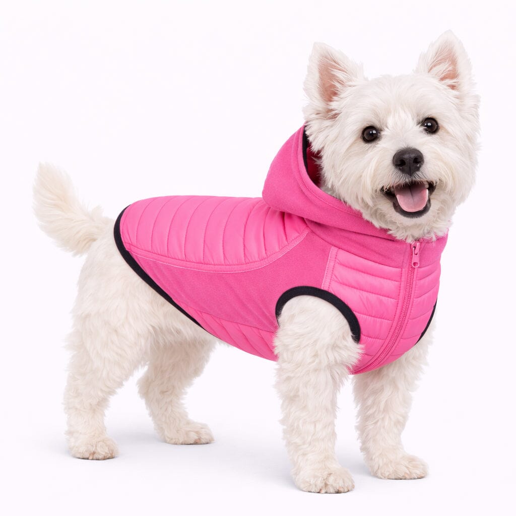 Pet Life Apex Lightweight Hybrid 4-Season Stretch and Quick-Dry Dog Coat w/ Pop out Hood | HT Animal Supply