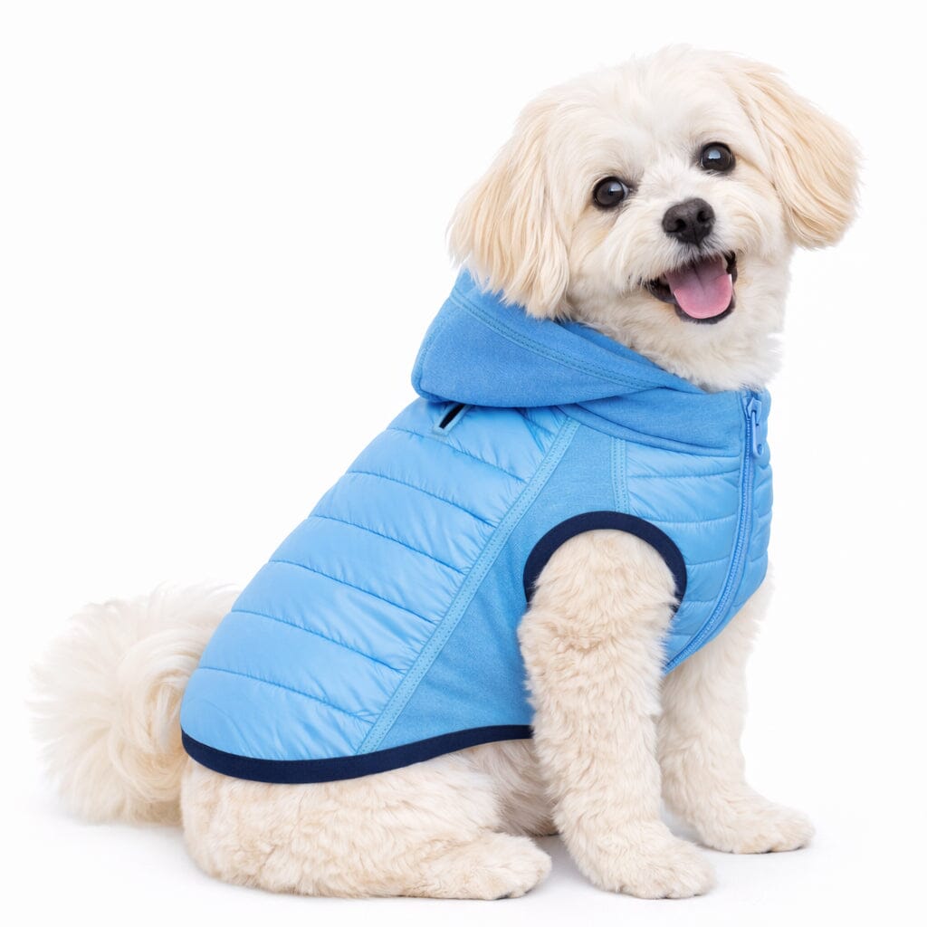 Pet Life Apex Lightweight Hybrid 4-Season Stretch and Quick-Dry Dog Coat w/ Pop out Hood | HT Animal Supply