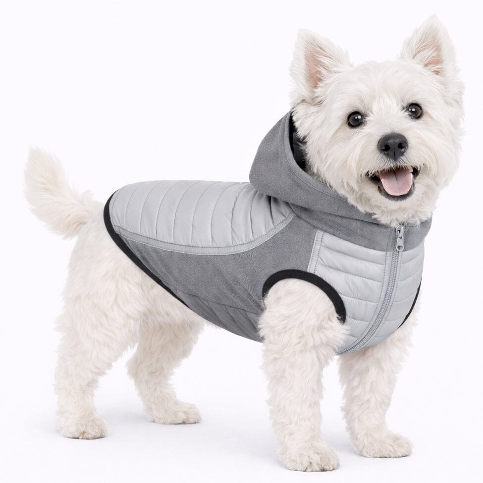 Pet Life Apex Lightweight Hybrid 4-Season Stretch and Quick-Dry Dog Coat w/ Pop out Hood | HT Animal Supply