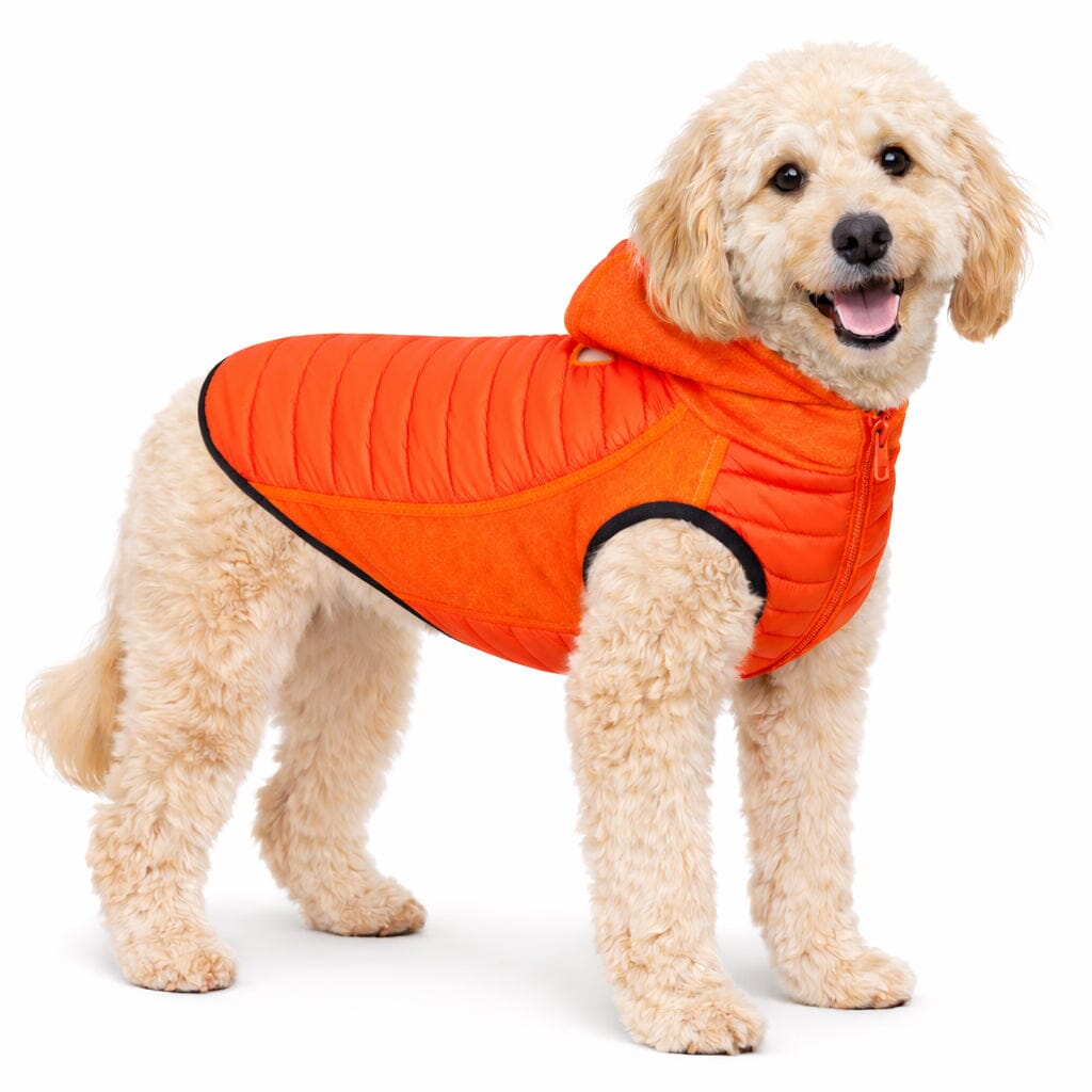 Pet Life Apex Lightweight Hybrid 4-Season Stretch and Quick-Dry Dog Coat w/ Pop out Hood | HT Animal Supply