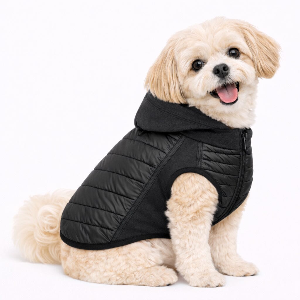 Pet Life Apex Lightweight Hybrid 4-Season Stretch and Quick-Dry Dog Coat w/ Pop out Hood | HT Animal Supply