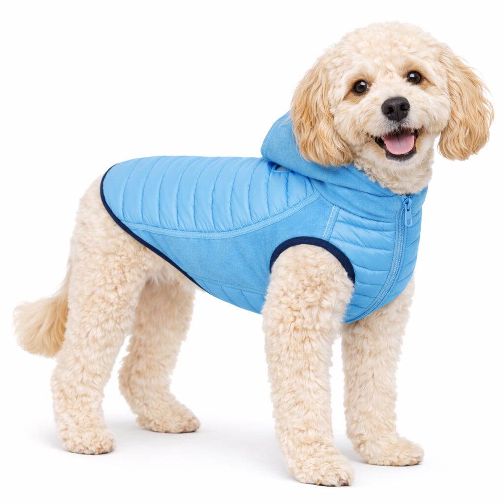 Pet Life Apex Lightweight Hybrid 4-Season Stretch and Quick-Dry Dog Coat w/ Pop out Hood | HT Animal Supply