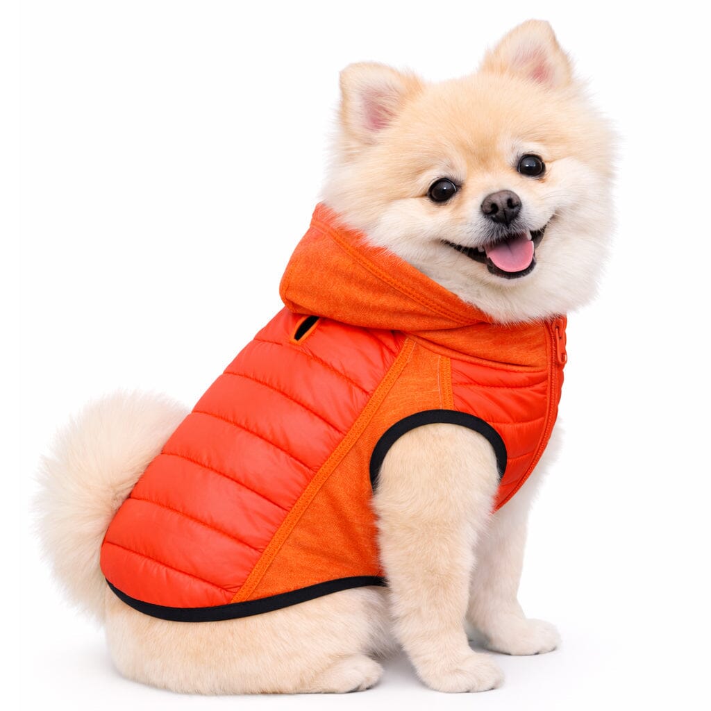 Pet Life Apex Lightweight Hybrid 4-Season Stretch and Quick-Dry Dog Coat w/ Pop out Hood | HT Animal Supply