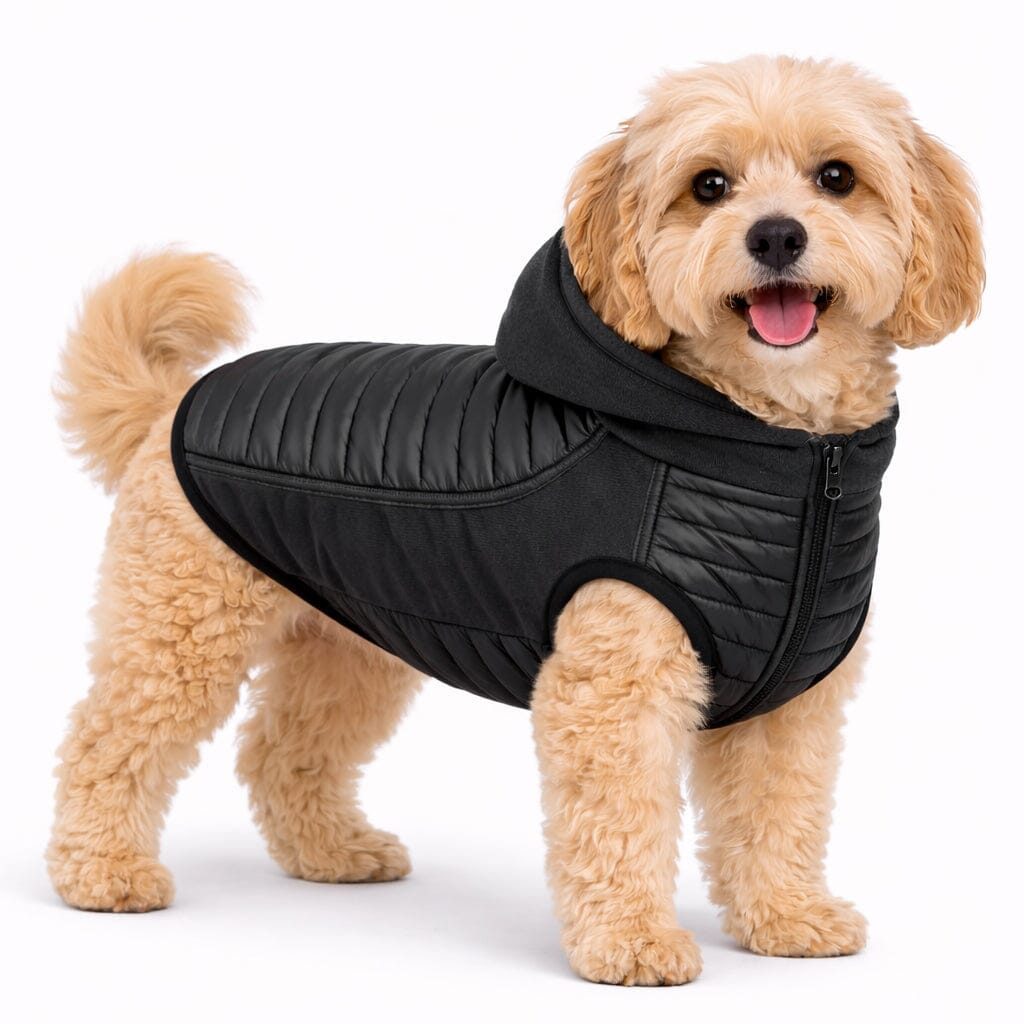 Pet Life Apex Lightweight Hybrid 4-Season Stretch and Quick-Dry Dog Coat w/ Pop out Hood | HT Animal Supply