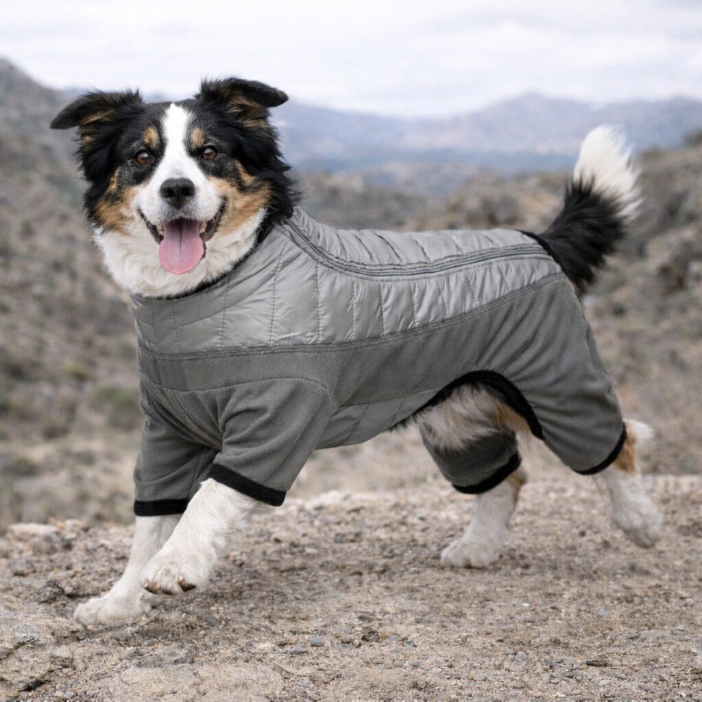 Pet Life Aura-Vent Lightweight 4-Season Stretch and Quick-Dry Full Body Dog Jacket | HT Animal Supply