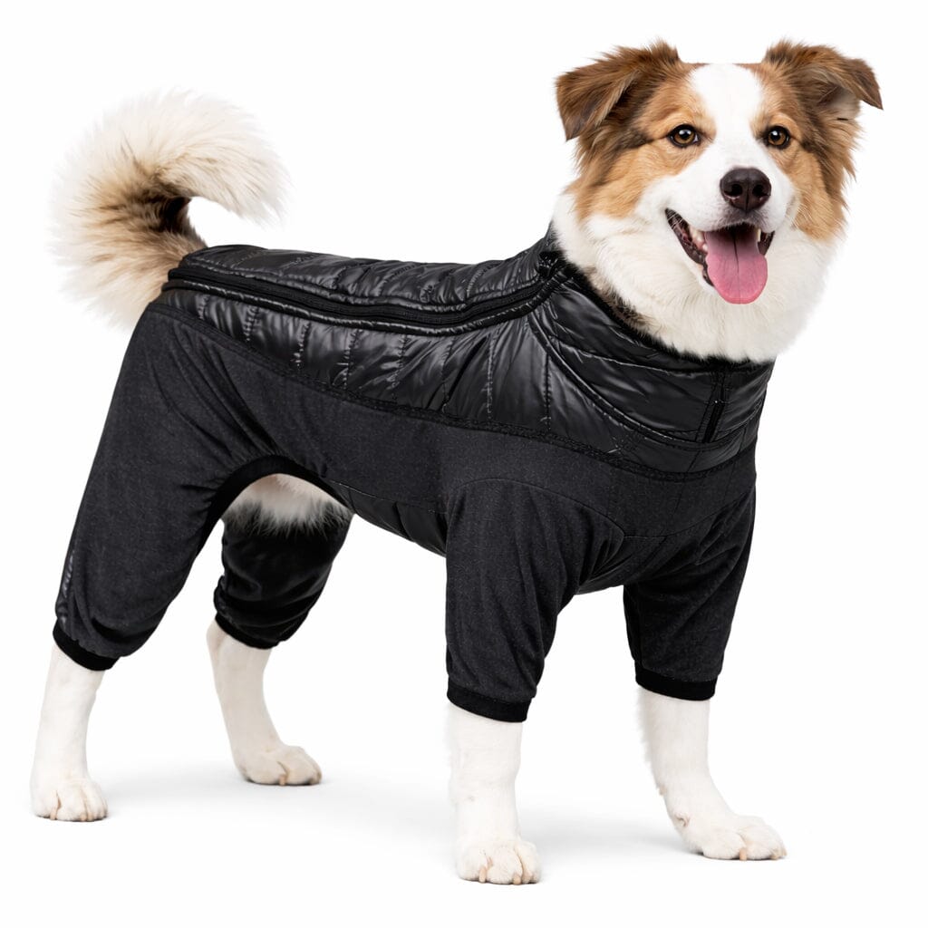 Pet Life Aura-Vent Lightweight 4-Season Stretch and Quick-Dry Full Body Dog Jacket | HT Animal Supply