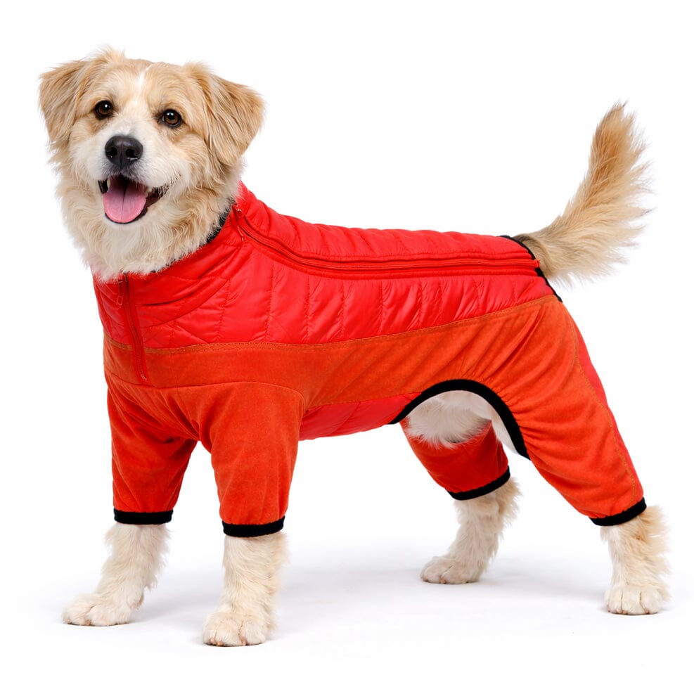 Pet Life Aura-Vent Lightweight 4-Season Stretch and Quick-Dry Full Body Dog Jacket | HT Animal Supply