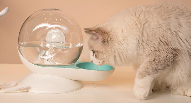 Pet Life Auto-Myst Snail Shaped 2-in-1 Automated Gravity Pet Filtered Water Dispenser and Food Bowl