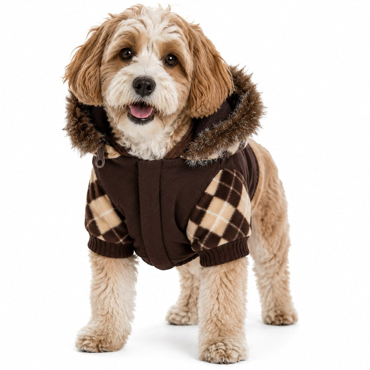 Pet Life Aygyle Style 3M Insulated Designer Patterned Suede Dog Coat w/ Removable Hood | HT Animal Supply