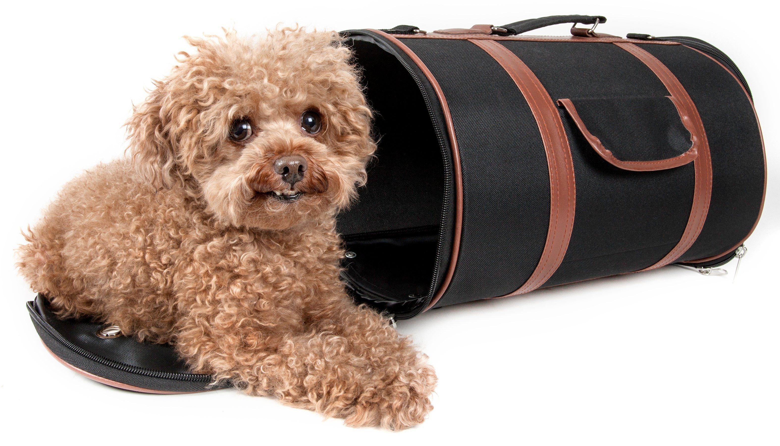 Pet Life ® Bark Avenue Cylindrical Airline Approved Fashion Designer Posh Pet Dog Carrier
