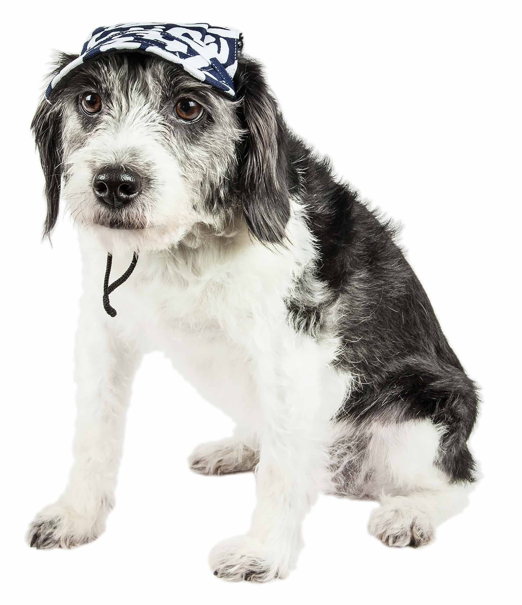 Pet Life Bone Cappa Graffiti Sculptured Uv Protectant Adjustable Fashion Dog Hat Cap