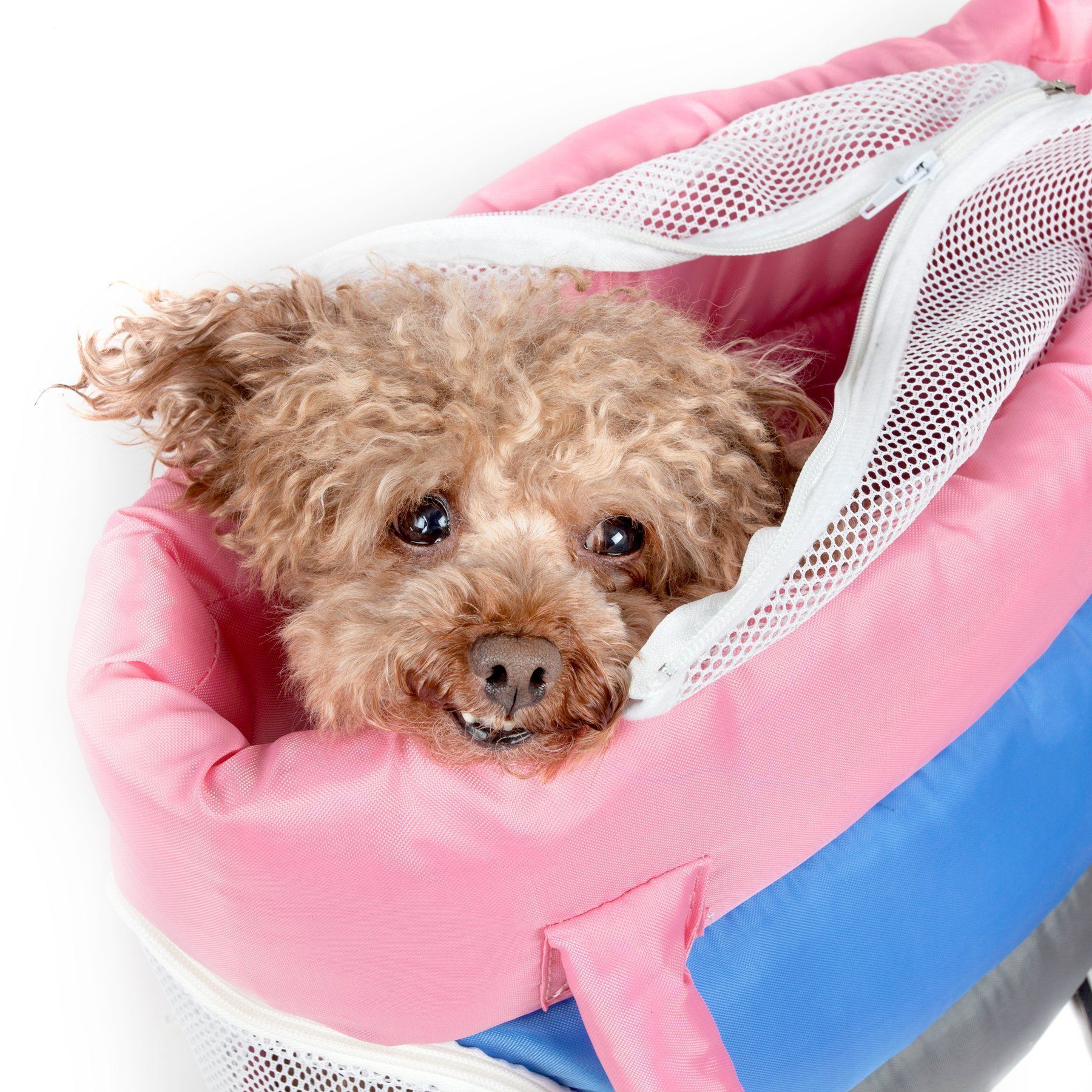 Pet Life Bubble-Poly Tri-Colored Winter Insulated Fashion Designer Pet Dog Carrier