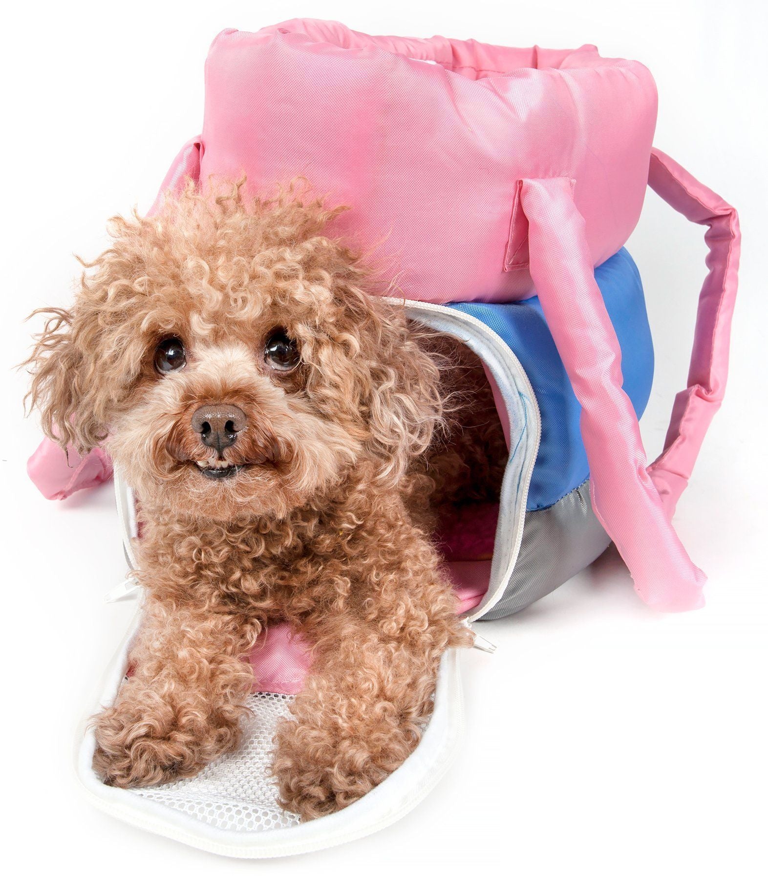 Pet Life Bubble-Poly Tri-Colored Winter Insulated Fashion Designer Pet Dog Carrier