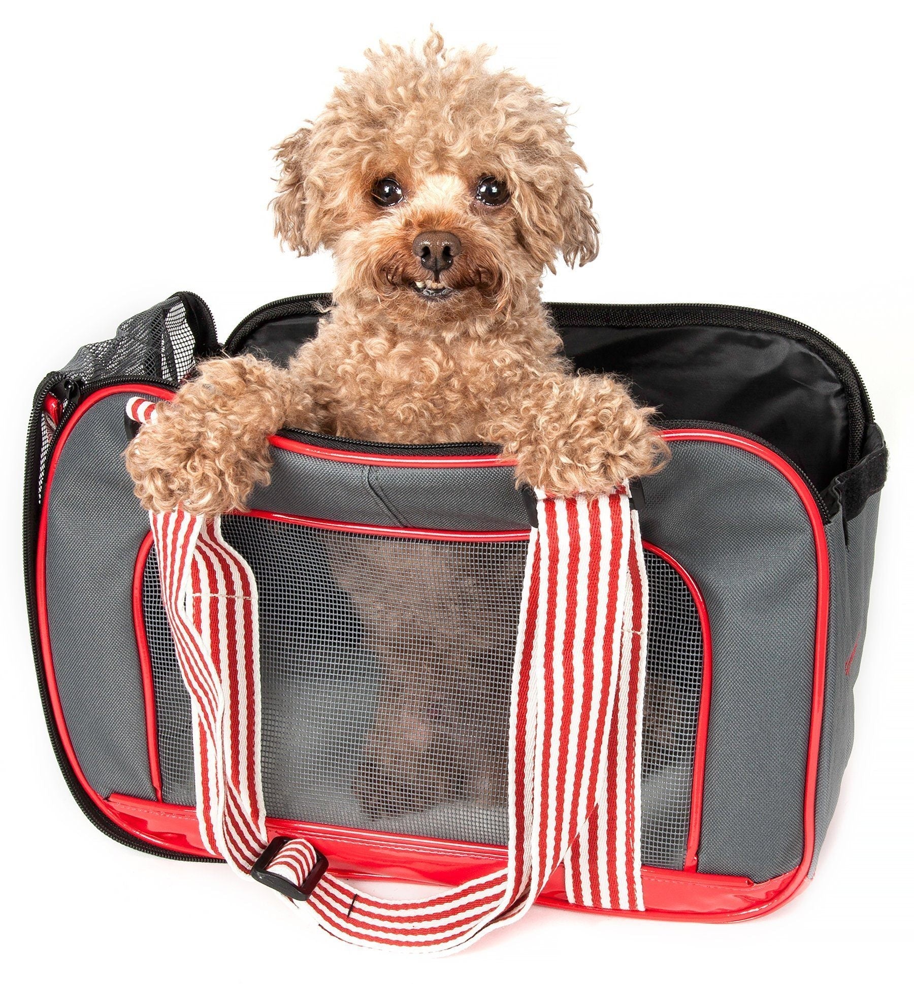 Pet Life ® Candy Cane striped Fashion Designer Travel Pet Dog Carrier