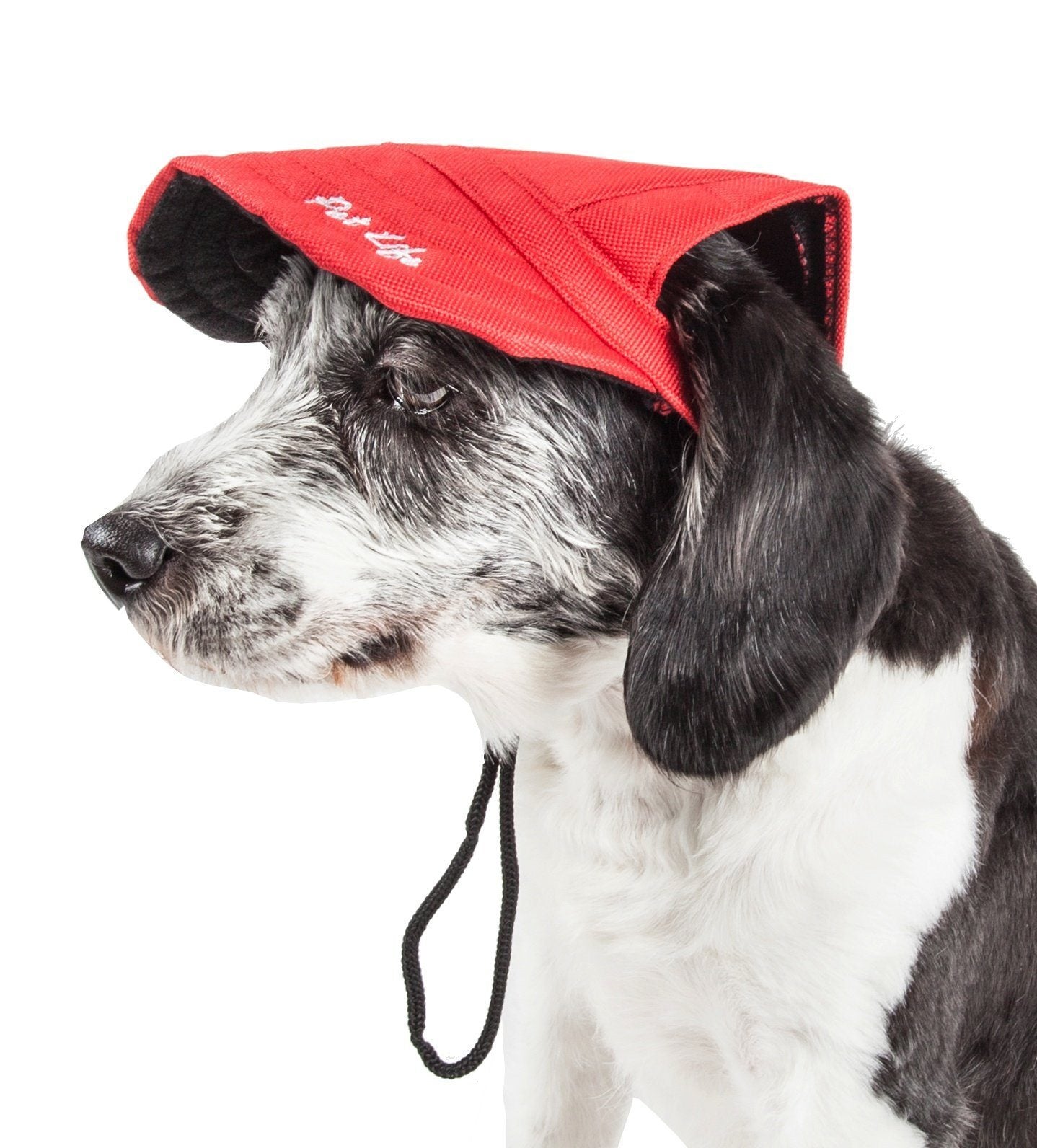 Pet Life Cap-Tivating UV Protectant Adjustable Fashion Dog Hat Cap