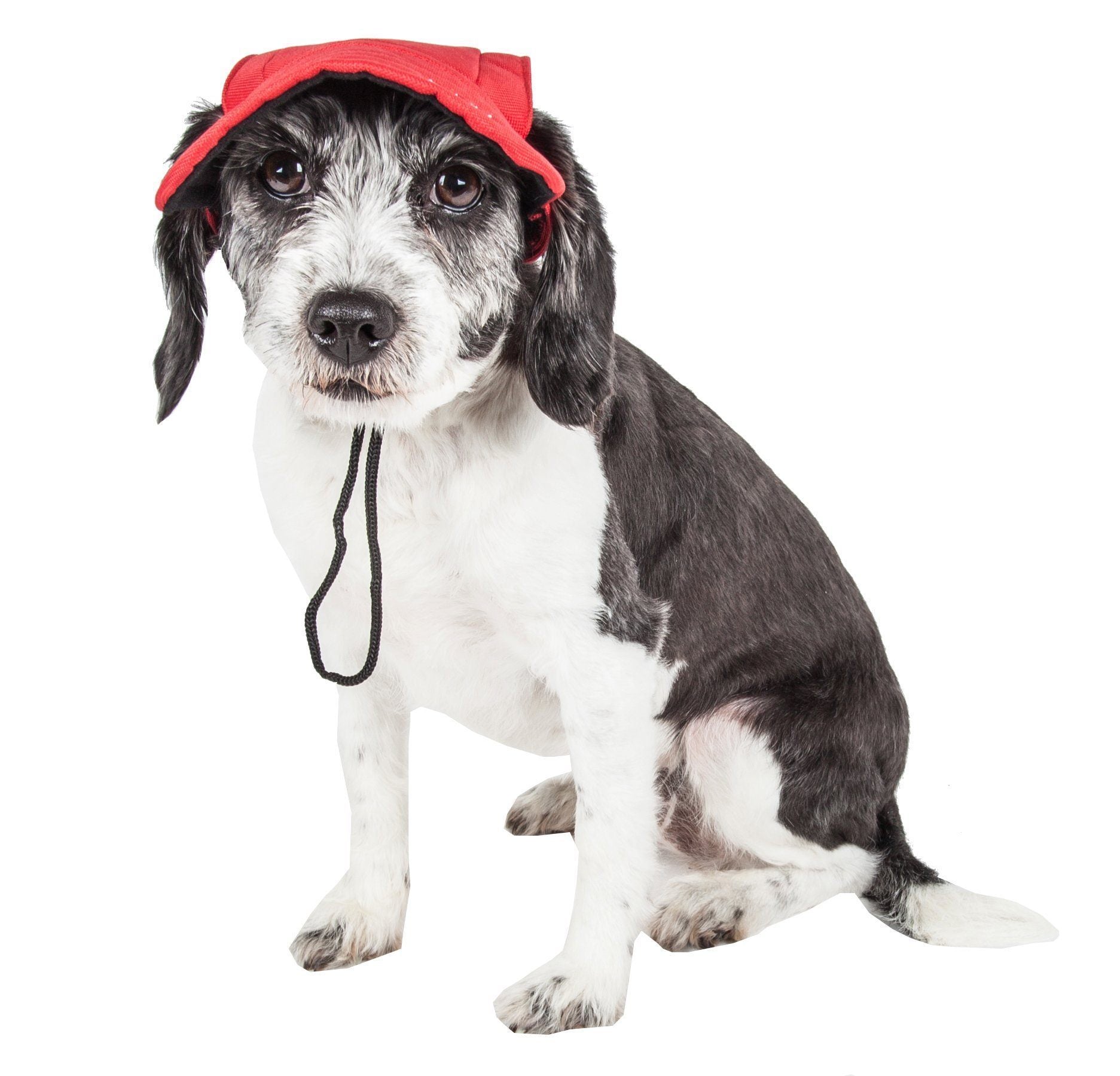 Pet Life Cap-Tivating UV Protectant Adjustable Fashion Dog Hat Cap