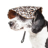 Pet Life ®  Cheetah Bonita Cheetah Patterned Uv Protectant Adjustable Fashion Dog Hat Cap