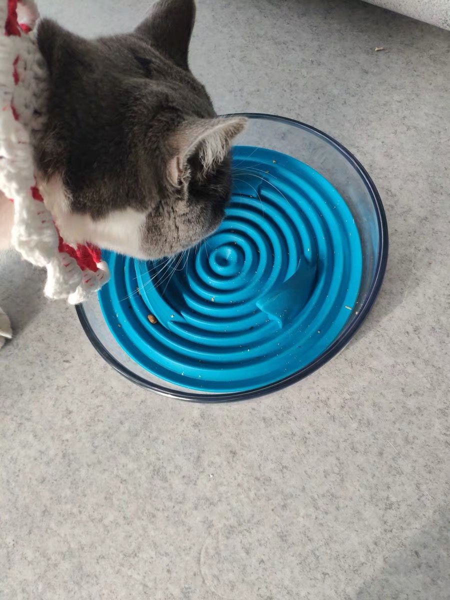 Pet Life ® Cirlicue Shark Fin Shaped Modern Slow Feeding Pet Bowl