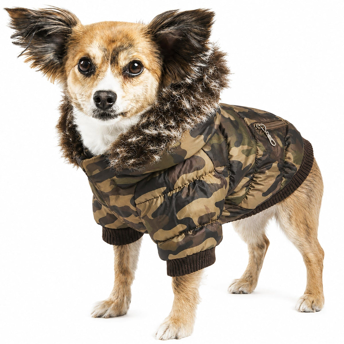 Pet Life Classic Metallic Fashion 3M Insulated Dog Coat Parka w/ Removable Hood | HT Animal Supply