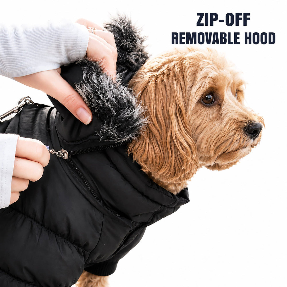 Pet Life Classic Metallic Fashion 3M Insulated Dog Coat Parka w/ Removable Hood | HT Animal Supply