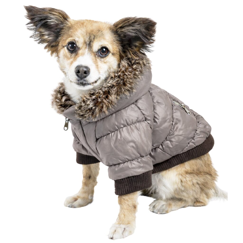 Pet Life Classic Metallic Fashion 3M Insulated Dog Coat Parka w/ Removable Hood | HT Animal Supply