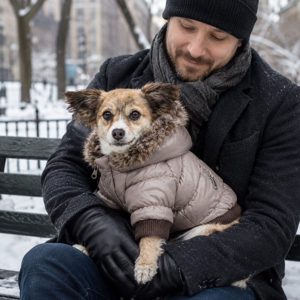 Pet Life Classic Metallic Fashion 3M Insulated Dog Coat Parka w/ Removable Hood | HT Animal Supply