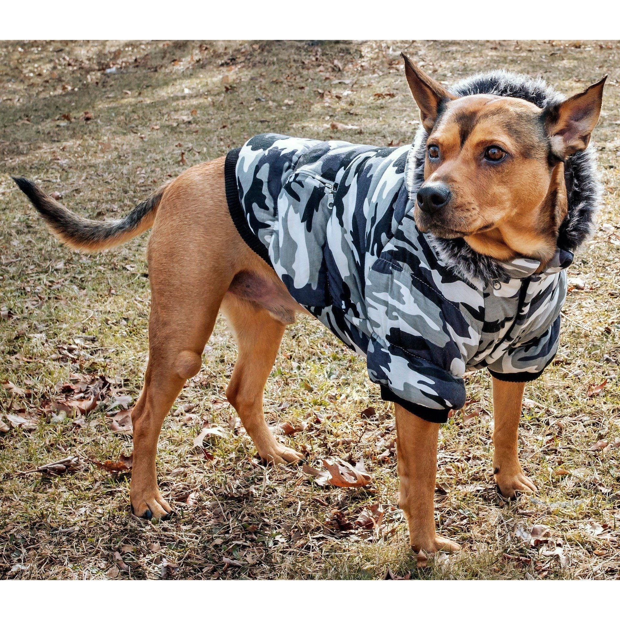 Pet Life Classic Metallic Fashion 3M Insulated Dog Coat Parka w/ Removable Hood