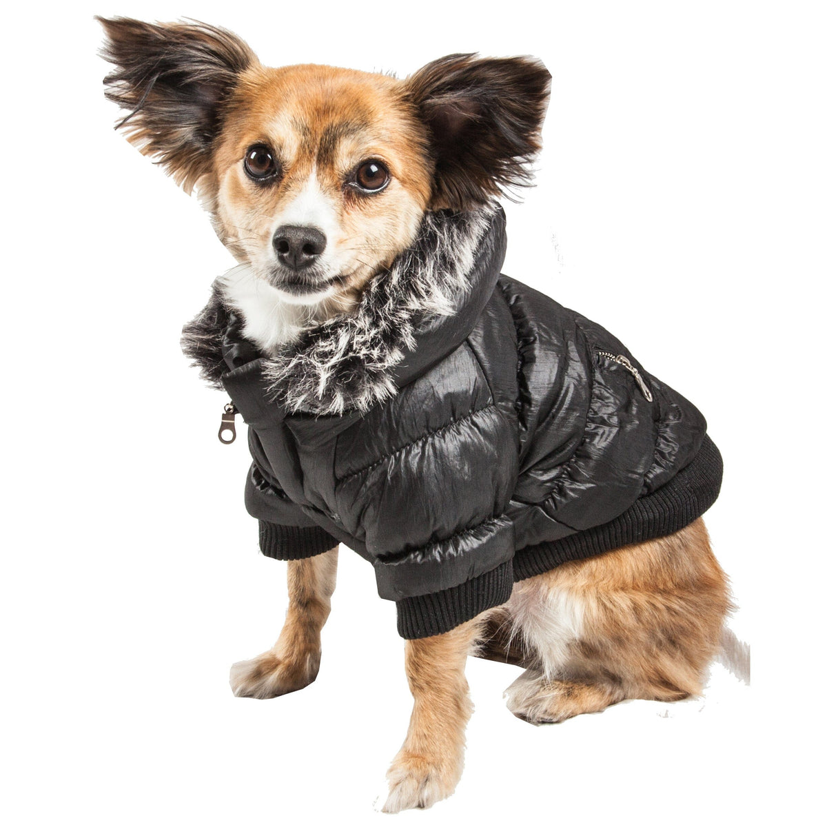 Pet Life Classic Metallic Fashion 3M Insulated Dog Coat Parka w/ Removable Hood | HT Animal Supply