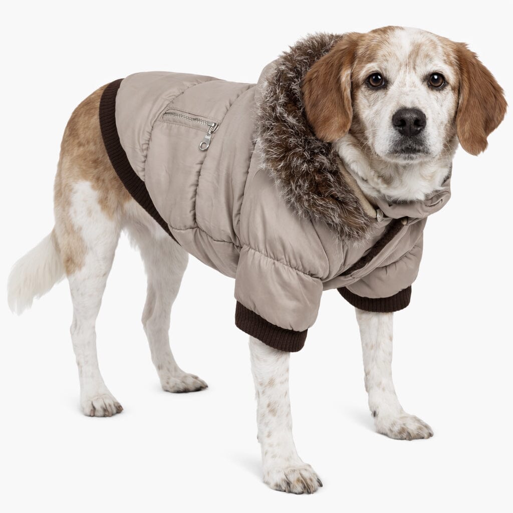 Pet Life Classic Metallic Fashion 3M Insulated Dog Coat Parka w/ Removable Hood | HT Animal Supply