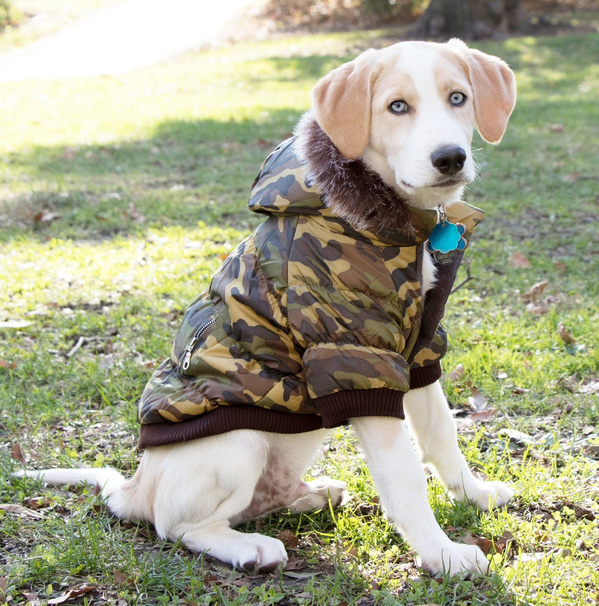 Pet Life Classic Metallic Fashion 3M Insulated Dog Coat Parka w/ Removable Hood | HT Animal Supply