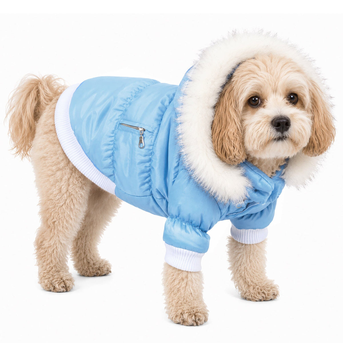 Pet Life Classic Metallic Fashion 3M Insulated Dog Coat Parka w/ Removable Hood | HT Animal Supply