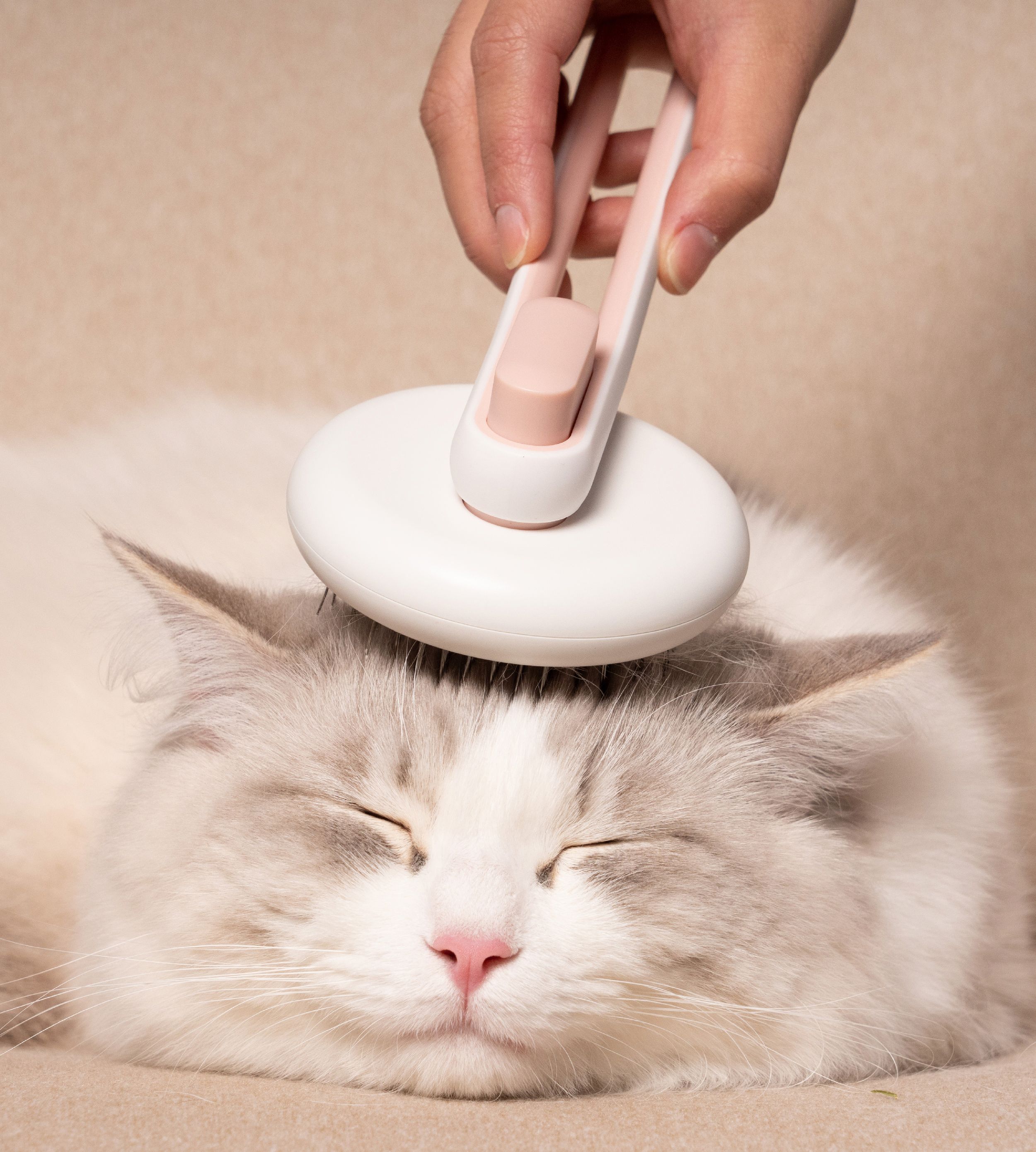 Pet Life Concepto Modern Bristle Grooming Pet Deshedder Comb
