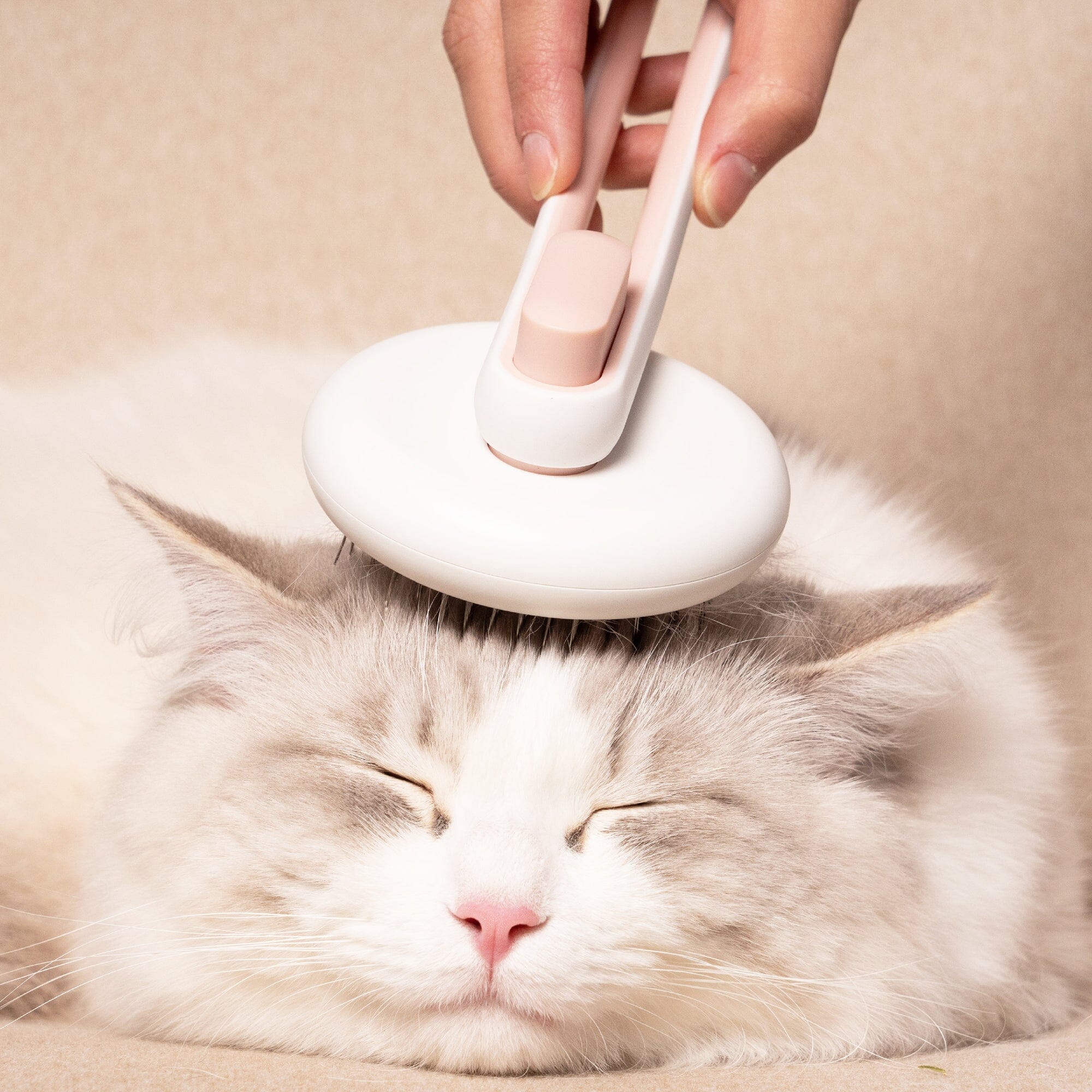 Pet Life Concepto Modern Bristle Grooming Pet Deshedder Comb | HT Animal Supply