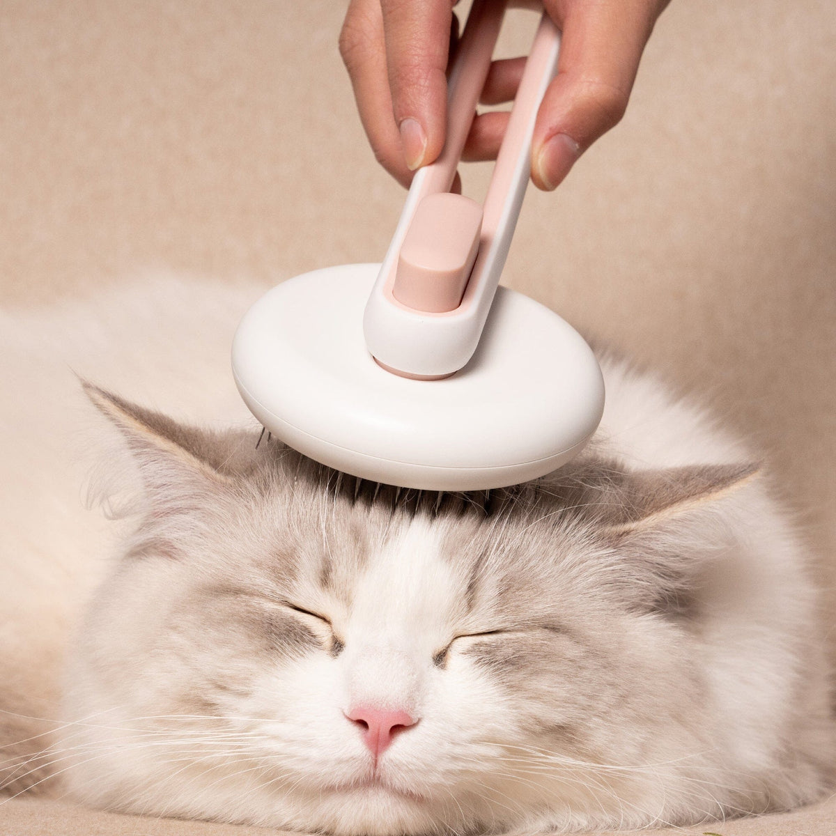 Pet Life Concepto Modern Bristle Grooming Pet Deshedder Comb | HT Animal Supply