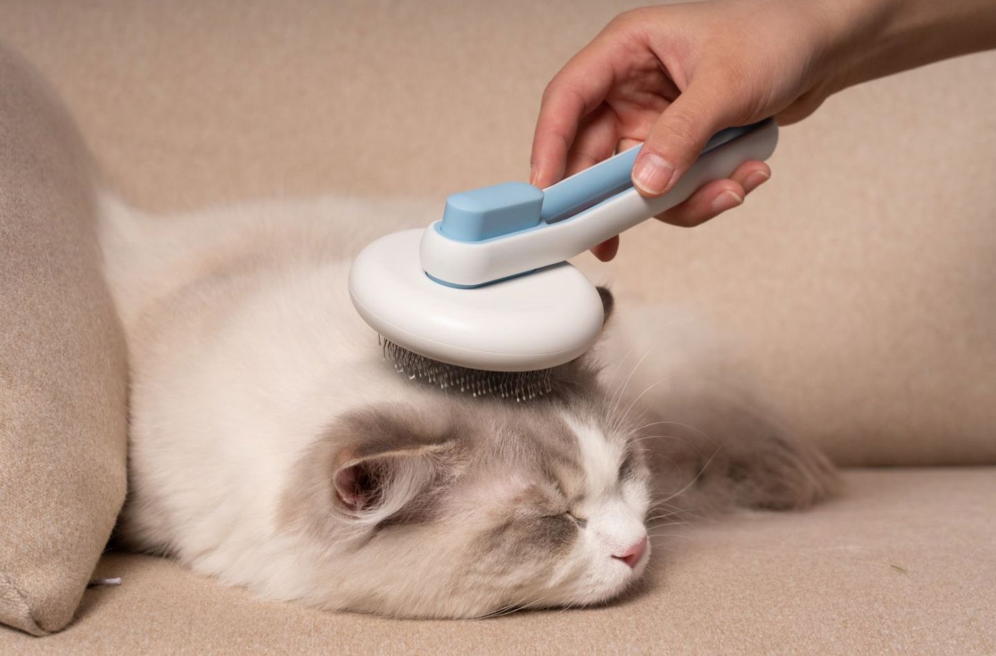 Pet Life Concepto Modern Bristle Grooming Pet Deshedder Comb