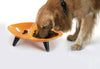 Pet Life Couture Sculptured Dishwasher Safe Melamine Food and Water Double Pet Bowl