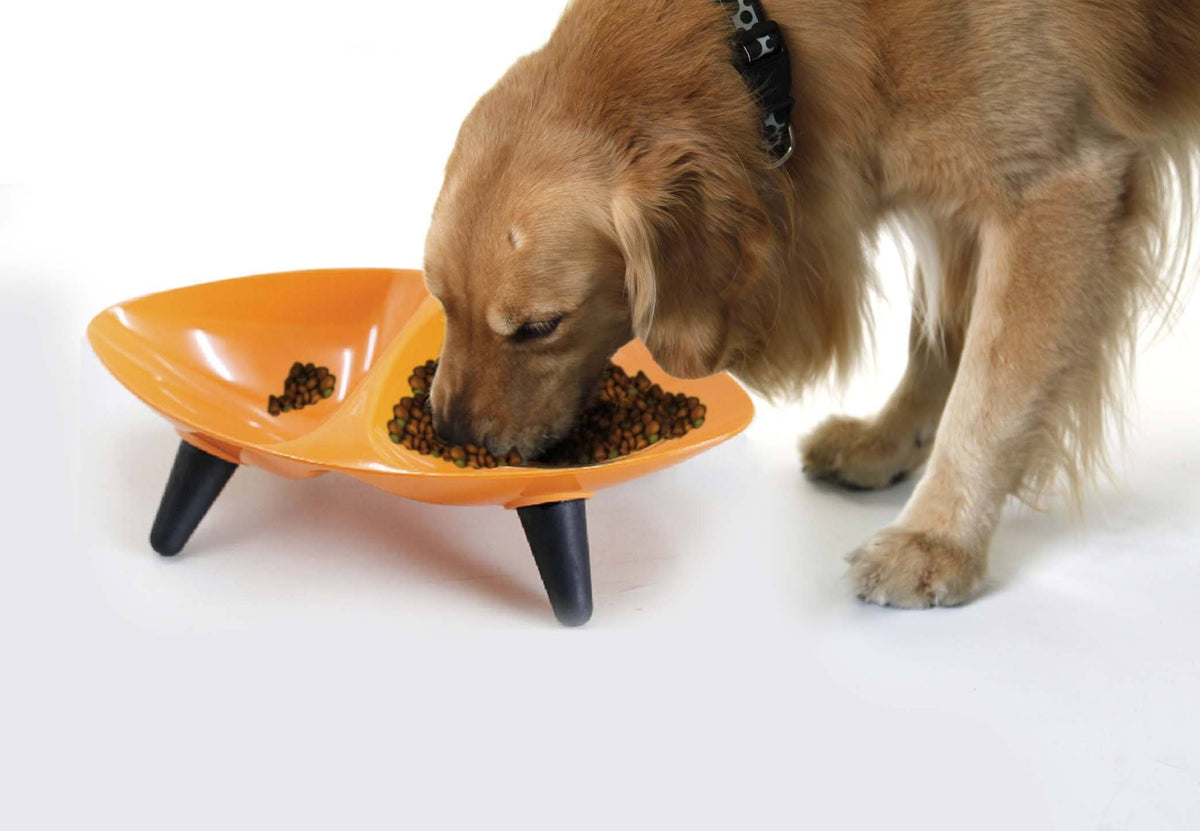 Pet Life Couture Sculptured Dishwasher Safe Melamine Food and Water Double Pet Bowl