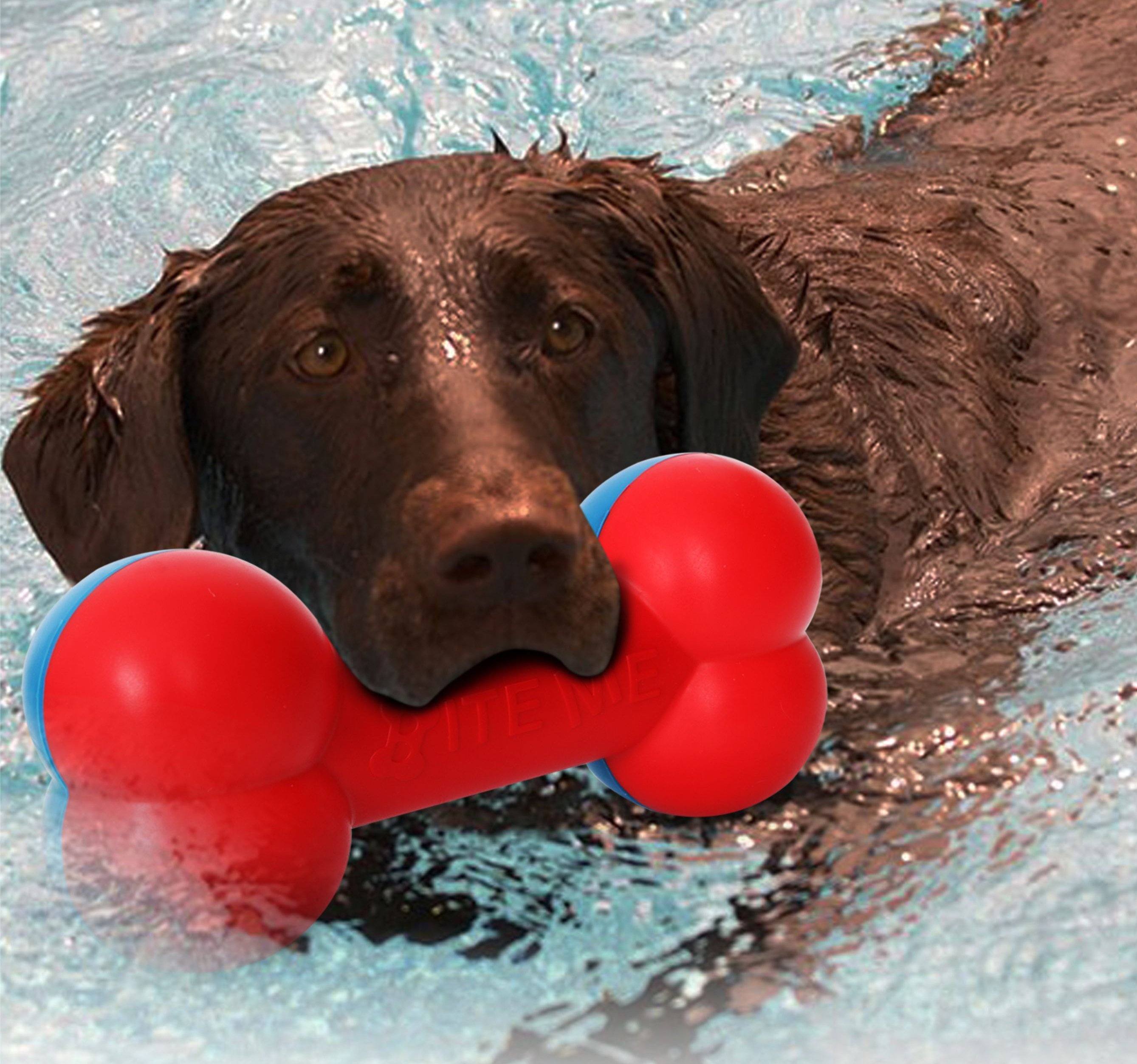 Pet Life Denta-Bone TPR Durable Waterproof Floating Dog Toy