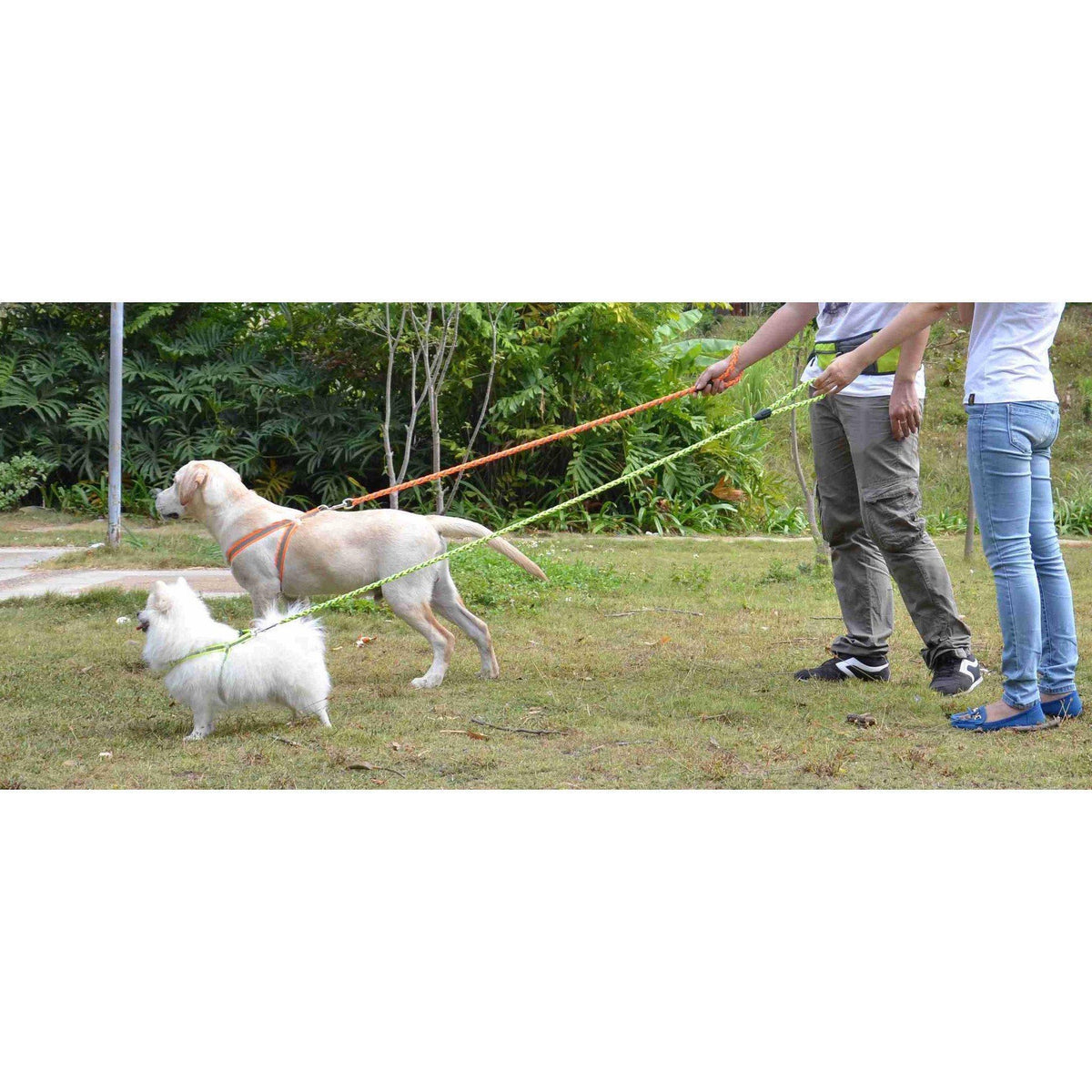Pet Life Easy Tension Reflective Stitched Adjustable 2-in-1 Pet Dog Leash and Harness
