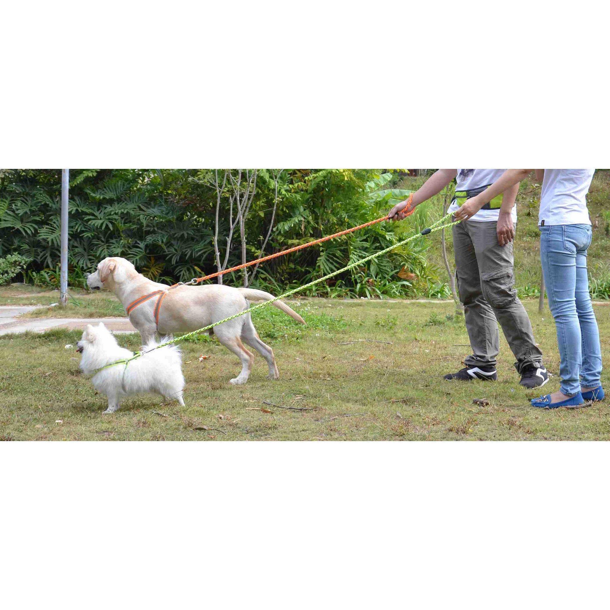 Pet Life Easy Tension Reflective Stitched Adjustable 2-in-1 Pet Dog Leash and Harness