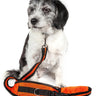 Pet Life ® Echelon Hands Free and Convertible 2-In-1 Training Pet Dog Leash and Pet Belt Trainer