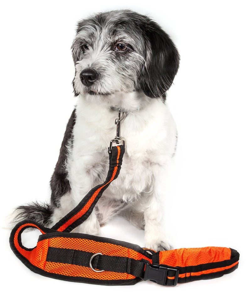 Pet Life Echelon Hands Free and Convertible 2-In-1 Training Pet Dog Leash and Pet Belt Trainer