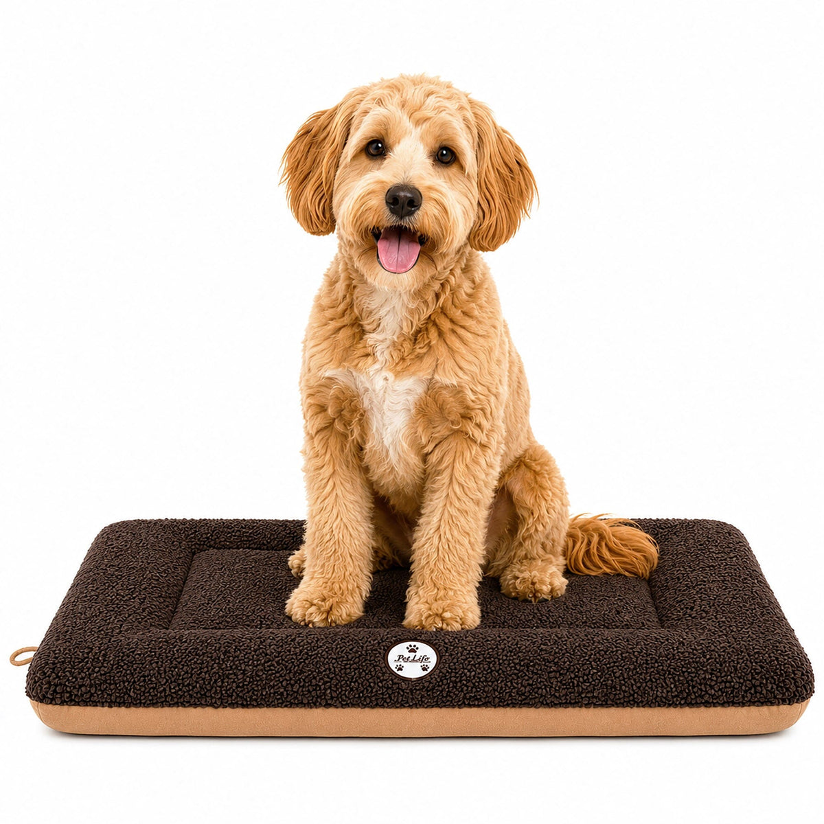 Pet Life Eco-Paw Reversible Eco-Friendly Recyclabled Polyfill Fashion Designer Pet Dog Bed Mat Lounge | HT Animal Supply