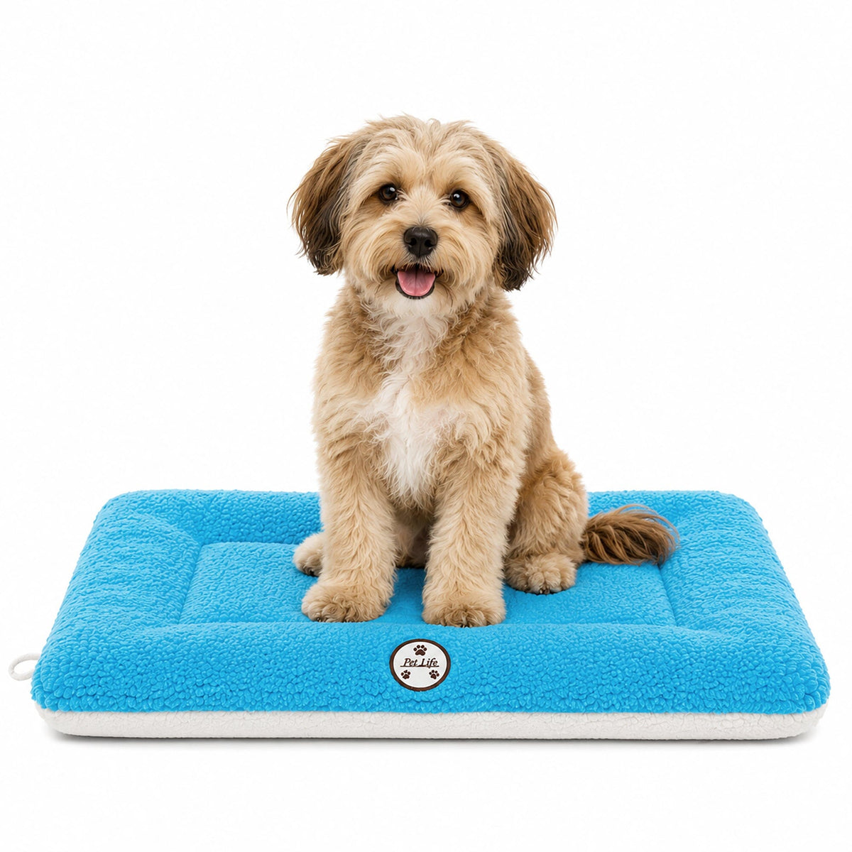 Pet Life Eco-Paw Reversible Eco-Friendly Recyclabled Polyfill Fashion Designer Pet Dog Bed Mat Lounge | HT Animal Supply