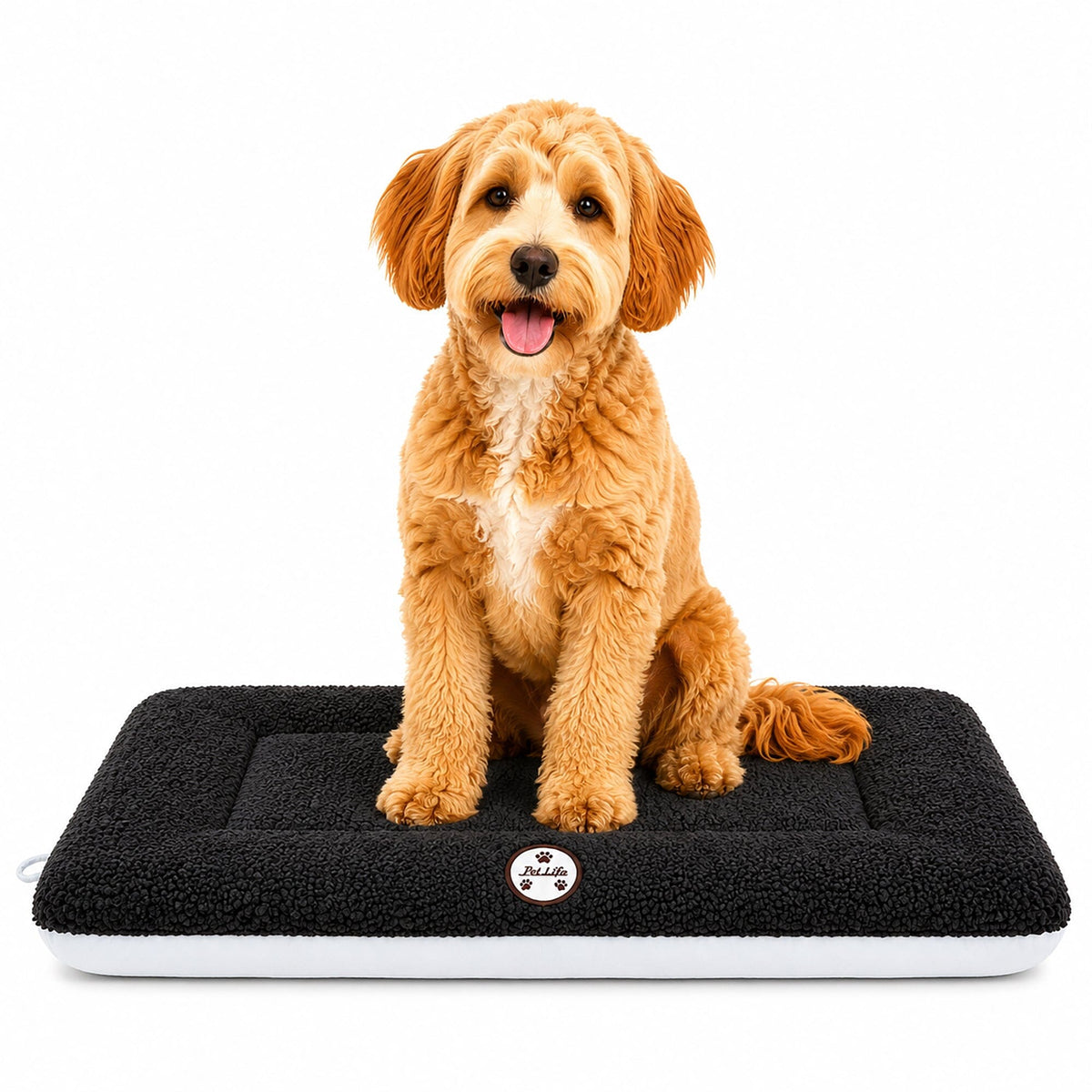 Pet Life Eco-Paw Reversible Eco-Friendly Recyclabled Polyfill Fashion Designer Pet Dog Bed Mat Lounge | HT Animal Supply
