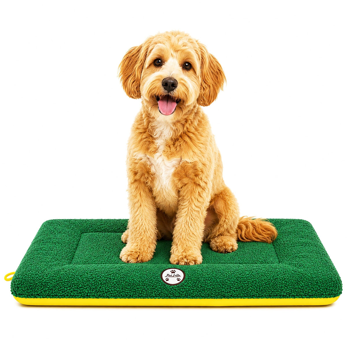 Pet Life Eco-Paw Reversible Eco-Friendly Recyclabled Polyfill Fashion Designer Pet Dog Bed Mat Lounge | HT Animal Supply