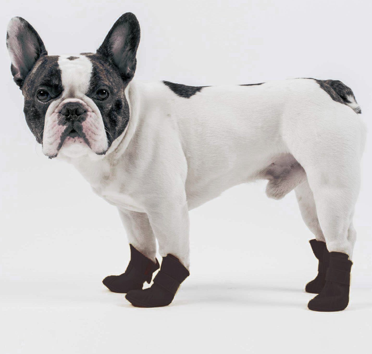 Pet Life Elastic Protective Multi-Usage All-Terrain Rubberized Dog Shoes - Set of 4