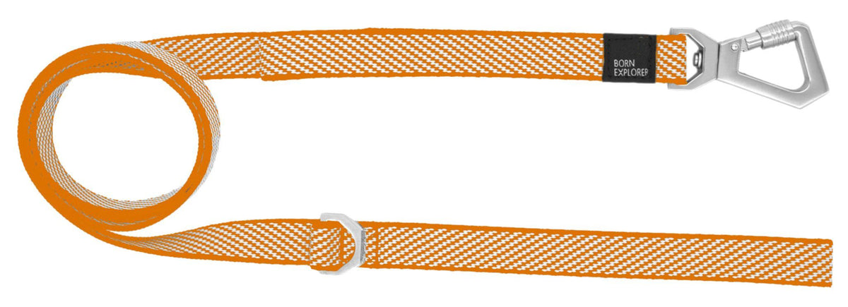 Pet Life Escapade Outdoor Series 2-in-1 Convertible Dog Leash and Collar
