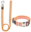 Pet Life Escapade Outdoor Series 2-in-1 Convertible Dog Leash and Collar
