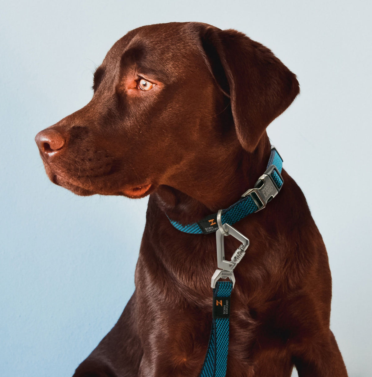 Pet Life Escapade Outdoor Series 2-in-1 Convertible Dog Leash and Collar